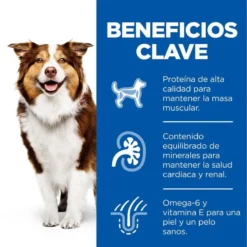 Hill's Science Plan Mature Adult Medium Pollo Pienso Para Perros -Pet Tienda comida perros hills adult mature pollo newpack HIL7653DA M JN23203
