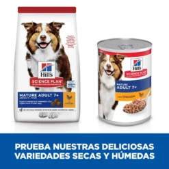Hill's Science Plan Mature Adult Medium Pollo Pienso Para Perros -Pet Tienda comida perros hills adult mature pollo newpack HIL7653DA M JN23205