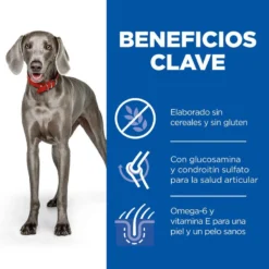 Hill's Hill’s Science Plan Adult Large Pollo Pienso Para Perros -Pet Tienda pienso hills no grain adutl large HIL605378202