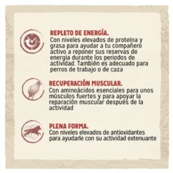 Pet Tienda -Pet Tienda pienso perro dog chow active actividad intensa CHW12233154 M AG23202