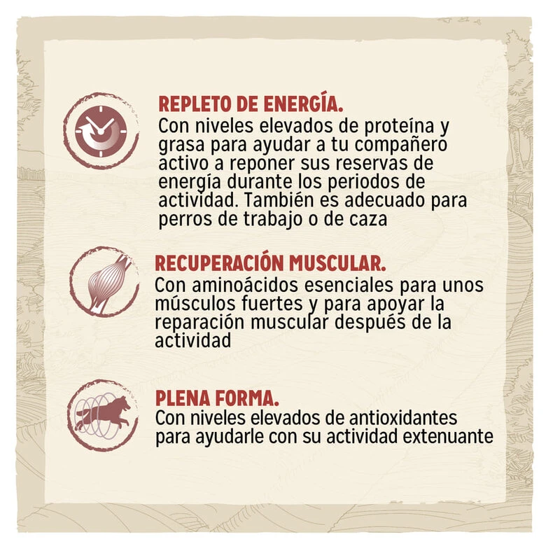 Purina Dog Chow Active Pollo Pienso Para Perros 2 Purina Dog Chow Active Pollo Pienso Para Perros - Imagen 2