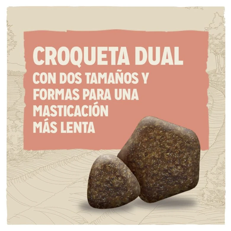 Purina Dog Chow Active Pollo Pienso Para Perros 3 Purina Dog Chow Active Pollo Pienso Para Perros - Imagen 3