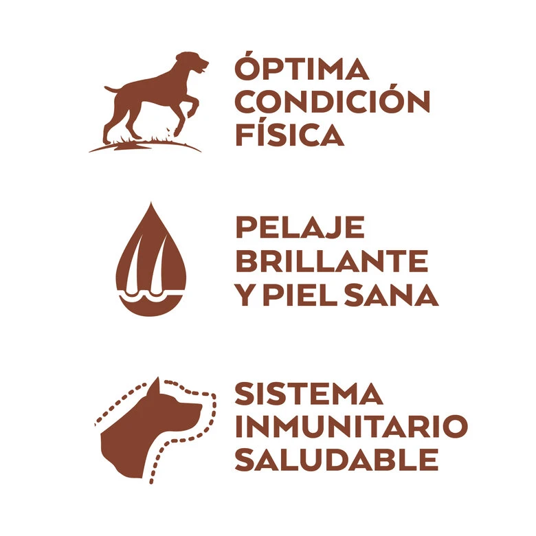 Nature's Variety Adult Medium Selected Pollo Pienso Para Perros 2 Nature's Variety Adult Medium Selected Pollo Pienso Para Perros - Imagen 2