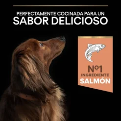 Purina Pro Plan Adult Small Y Mini Salmón Sesitive Skin Pienso Para Perros -Pet Tienda pienso perro purina pro plan mini derma PRO12272215 1206