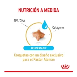 Royal Canin Adult +5 Pastor Alemán Pienso Para Perros -Pet Tienda pienso perro royal canin ageing pastor aleman ROY1340800 3