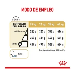 Royal Canin Adult +5 Pastor Alemán Pienso Para Perros -Pet Tienda pienso perro royal canin ageing pastor aleman ROY1340800 5