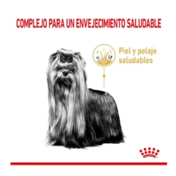 Royal Canin Adult +8 Yorkshire Pienso Para Perros -Pet Tienda pienso perro royal canin ageing yorkshire ROY1260200 2