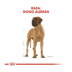 Royal Canin Adult Great Dane Pienso Para Perros -Pet Tienda pienso perro royal canin gran danes ROY158464 M 4