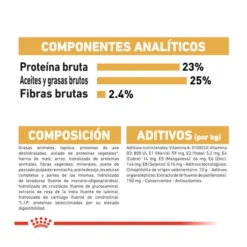 Royal Canin Adult Great Dane Pienso Para Perros -Pet Tienda pienso perro royal canin gran danes ROY158464 M 7