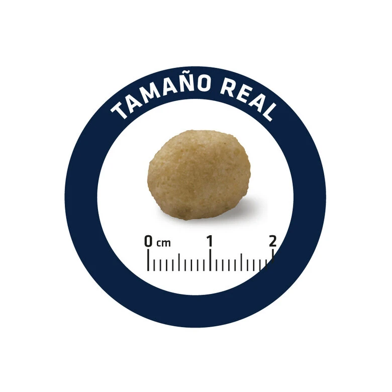 Affinity Advance Veterinary Diets Hypoallergenic Pienso Para Perros - Imagen 6