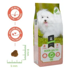 Criadores Bichón Maltés Pienso Para Perros