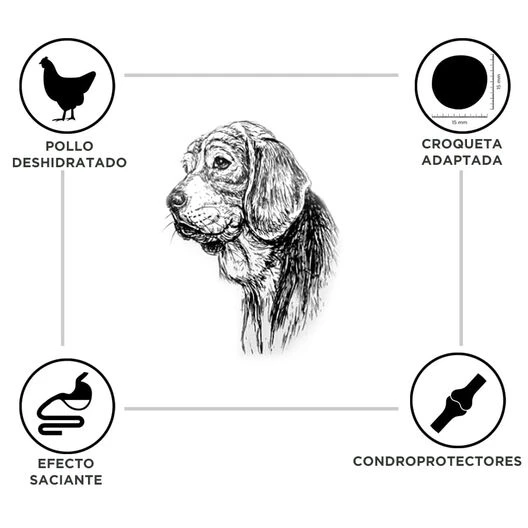 Criadores Adulto Light Pienso Para Perros De Raza Grande Y Mediana - Imagen 3