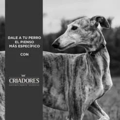 Criadores Adulto Pollo Y Arroz Pienso Para Perros De Raza Mediana -Pet Tienda pienso perros criadores mantenimiento CRD2319 M 3