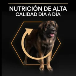 Purina Pro Plan Large Robust Adult Pienso Para Perros -Pet Tienda pienso perros purina pro plan adult large robust opti balance PRO5121789 M 1207