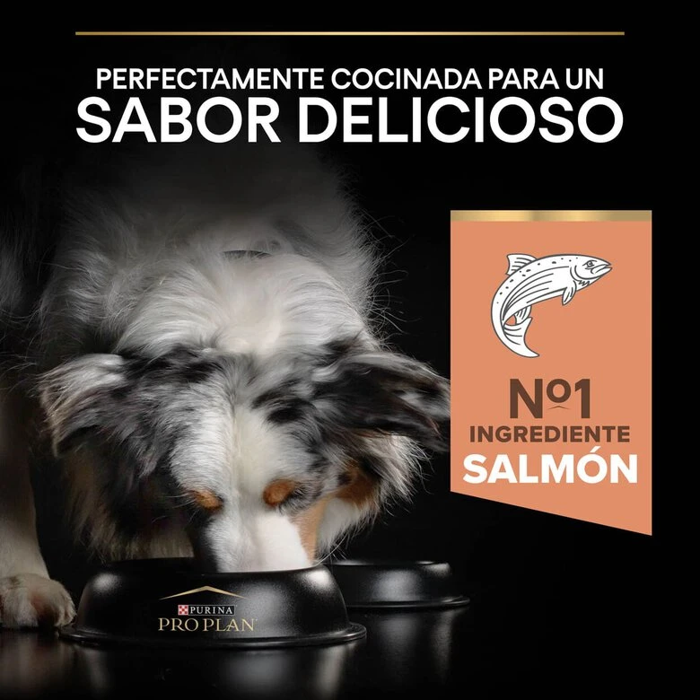 Purina Pro Plan Adult Medium Sensitive Skin Salmón Pienso Para Perros - Imagen 7