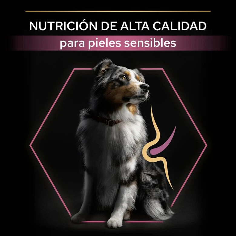 Purina Pro Plan Adult Medium Sensitive Skin Salmón Pienso Para Perros - Imagen 8