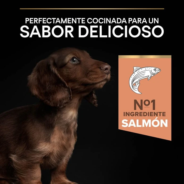 Purina Pro Plan Puppy Small Y Mini Salmón Pienso Para Perros Piel - Imagen 7