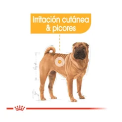Royal Canin Dermacomfort Medium Pienso Para Perros -Pet Tienda pienso perros royal20canin medium dermacomfort ROY152761 M204