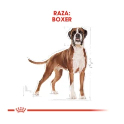 Royal Canin Adult Boxer Pienso Para Perros -Pet Tienda pienso perros royal canin adult boxer ROY156932 M 3