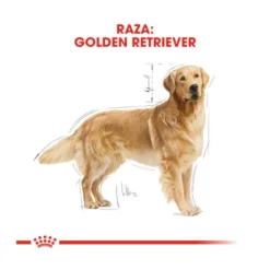 Royal Canin Adult Golden Retriever Pienso Para Perros -Pet Tienda pienso perros royal canin adult golden retriever 41173 M 4