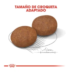 Royal Canin Medium +7 Adult Pienso Para Perros -Pet Tienda pienso perros royal canin adult medium 7 ROY152270 M203
