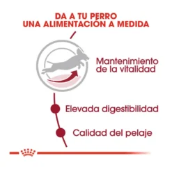 Royal Canin Medium +7 Adult Pienso Para Perros -Pet Tienda pienso perros royal canin adult medium 7 ROY152270 M204