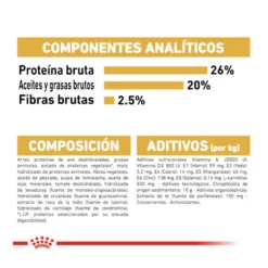 Royal Canin Adult Rottweiler Pienso Para Perros -Pet Tienda pienso perros royal canin adult rottweiler 41705 M7