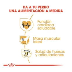 Royal Canin Adult Rottweiler Pienso Para Perros -Pet Tienda pienso perros royal canin adult rottweiler 41705 M 6