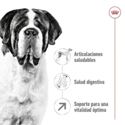 Royal Canin Giant Adult Pienso Para Perros -Pet Tienda pienso perros royal canin giant adult ROY155171 M 5