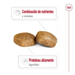 Royal Canin Giant Adult Pienso Para Perros -Pet Tienda pienso perros royal canin giant adult ROY155171 M 6