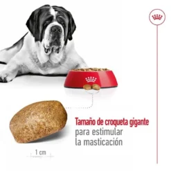 Royal Canin Giant Adult Pienso Para Perros -Pet Tienda pienso perros royal canin giant adult ROY155171 M 7