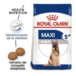 Royal Canin Maxi Adult +5 Pienso Para Perros Senior De Raza Grande
