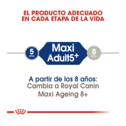Royal Canin Maxi Adult +5 Pienso Para Perros Senior De Raza Grande -Pet Tienda pienso perros royal canin maxi adult 5 ROY153837 M206