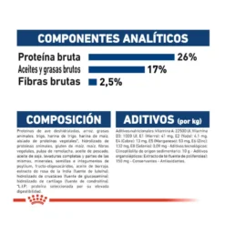 Royal Canin Maxi Adult +5 Pienso Para Perros Senior De Raza Grande -Pet Tienda pienso perros royal canin maxi adult 5 ROY153837 M207