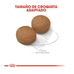 Royal Canin Maxi Adult Pienso Para Perros -Pet Tienda pienso perros royal canin maxi adult ROY153637 M203