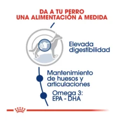 Royal Canin Maxi Adult Pienso Para Perros -Pet Tienda pienso perros royal canin maxi adult ROY153637 M204