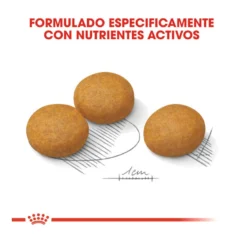 Royal Canin Dermacomfort Maxi Pienso Para Perros -Pet Tienda pienso perros royal canin maxi dermacomfort ROY153932 M 3