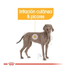 Royal Canin Dermacomfort Maxi Pienso Para Perros -Pet Tienda pienso perros royal canin maxi dermacomfort ROY153932 M 4
