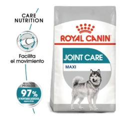 Royal Canin Joint Care Maxi Pienso Para Perros