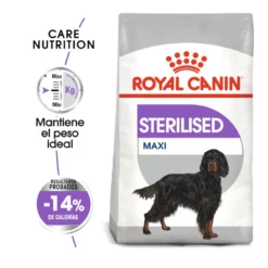 Royal Canin Sterilised Maxi Pienso Para Perros