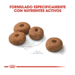 Royal Canin Sterilised Maxi Pienso Para Perros -Pet Tienda pienso perros royal canin maxi sterilised ROY153764 M204