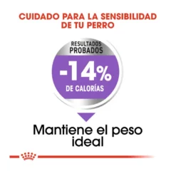 Royal Canin Sterilised Maxi Pienso Para Perros -Pet Tienda pienso perros royal canin maxi sterilised ROY153764 M206