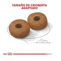 Royal Canin Medium 10+ Ageing Pienso Para Perros -Pet Tienda pienso perros royal canin medium ageing 10 ROY152370204