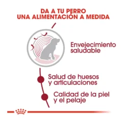 Royal Canin Medium 10+ Ageing Pienso Para Perros -Pet Tienda pienso perros royal canin medium ageing 10 ROY152370205
