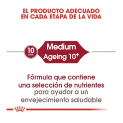 Royal Canin Medium 10+ Ageing Pienso Para Perros -Pet Tienda pienso perros royal canin medium ageing 10 ROY152370206