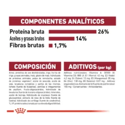 Royal Canin Medium 10+ Ageing Pienso Para Perros -Pet Tienda pienso perros royal canin medium ageing 10 ROY152370207