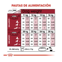 Royal Canin Medium 10+ Ageing Pienso Para Perros -Pet Tienda pienso perros royal canin medium ageing 10 ROY152370208