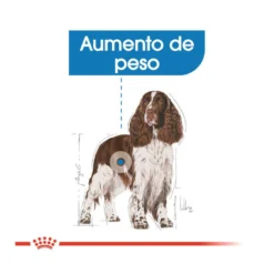 Royal Canin Medium Light Weight Care Pienso Para Perros -Pet Tienda pienso perros royal canin medium light weight care ROY152434 M 2
