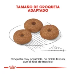 Royal Canin Mini 12+ Ageing Pienso Para Perros -Pet Tienda pienso perros royal canin mini ageing 12 ROY151038 M204