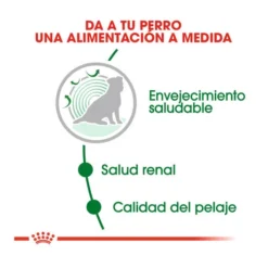 Royal Canin Mini 12+ Ageing Pienso Para Perros -Pet Tienda pienso perros royal canin mini ageing 12 ROY151038 M205